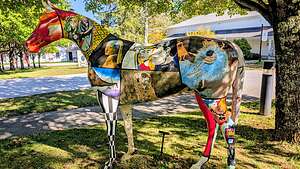 SVAC horse canvas